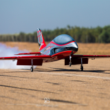 Leonardo3M_Redwings_combo